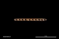 穿孔骨器藏品圖，第1張